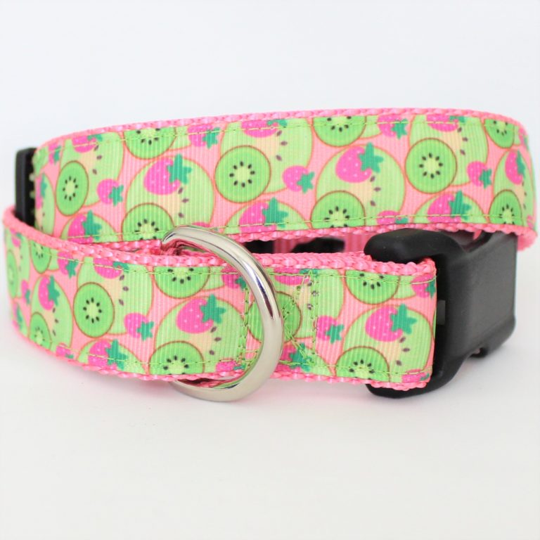 Detail Kiwi Dog Collar Nomer 15