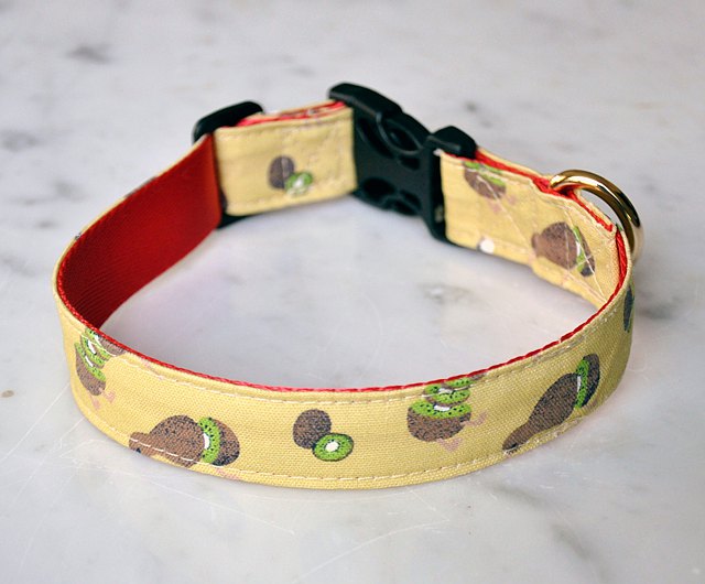 Detail Kiwi Dog Collar Nomer 22