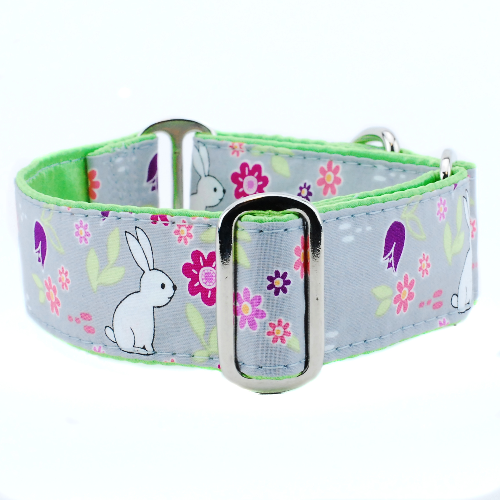 Detail Kiwi Dog Collar Nomer 24