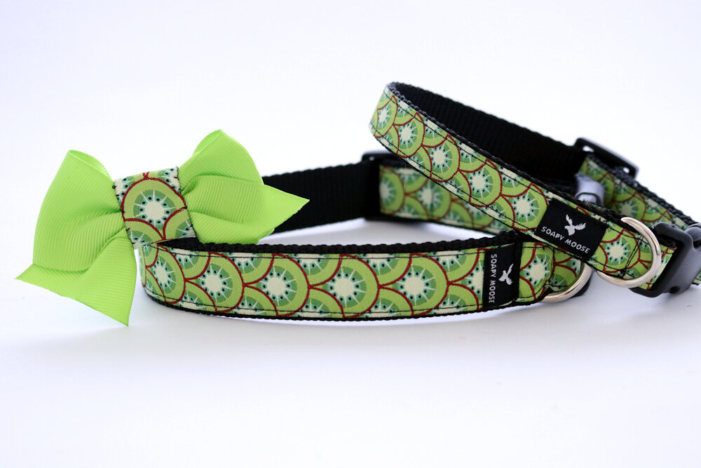 Detail Kiwi Dog Collar Nomer 3