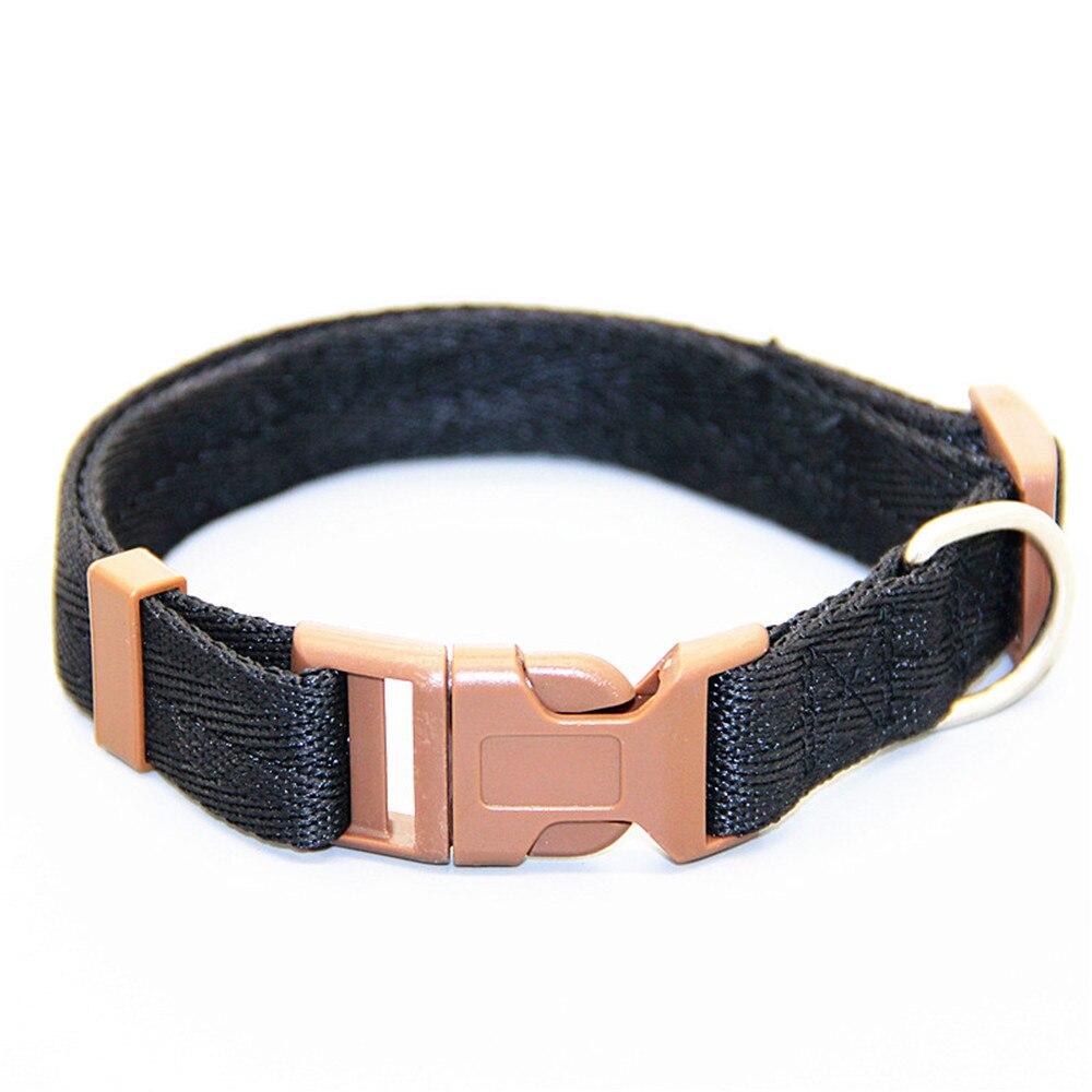 Detail Kiwi Dog Collar Nomer 29