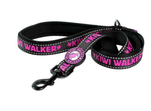 Download Kiwi Dog Collar Nomer 32