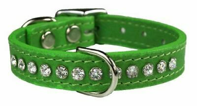 Detail Kiwi Dog Collar Nomer 39