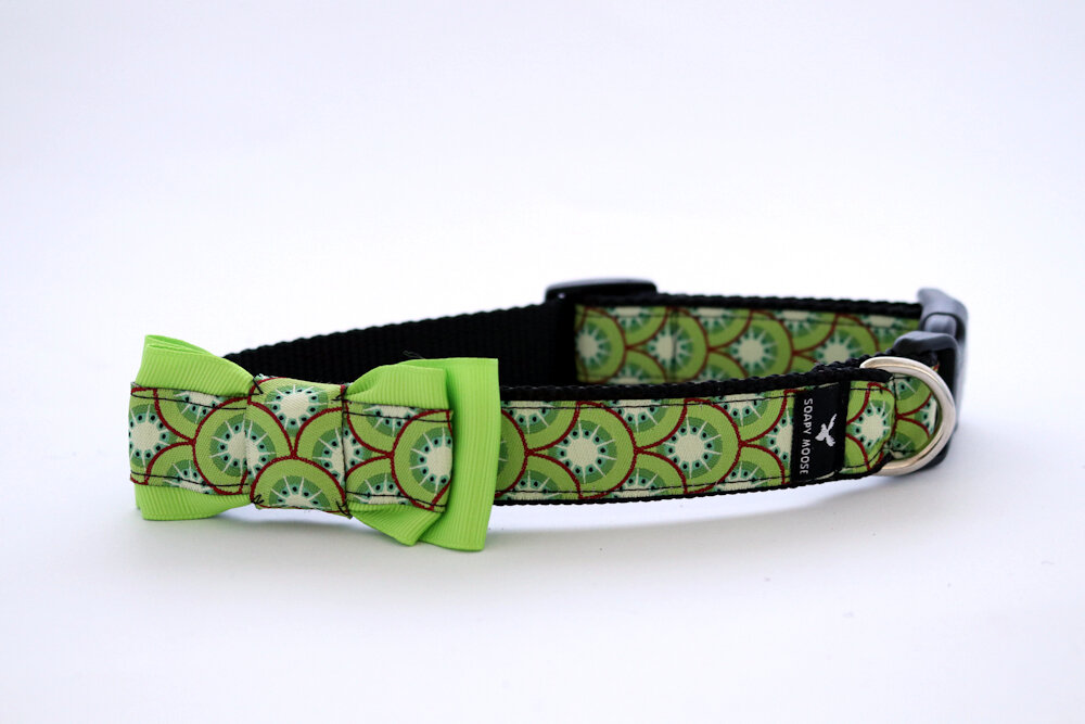 Detail Kiwi Dog Collar Nomer 42