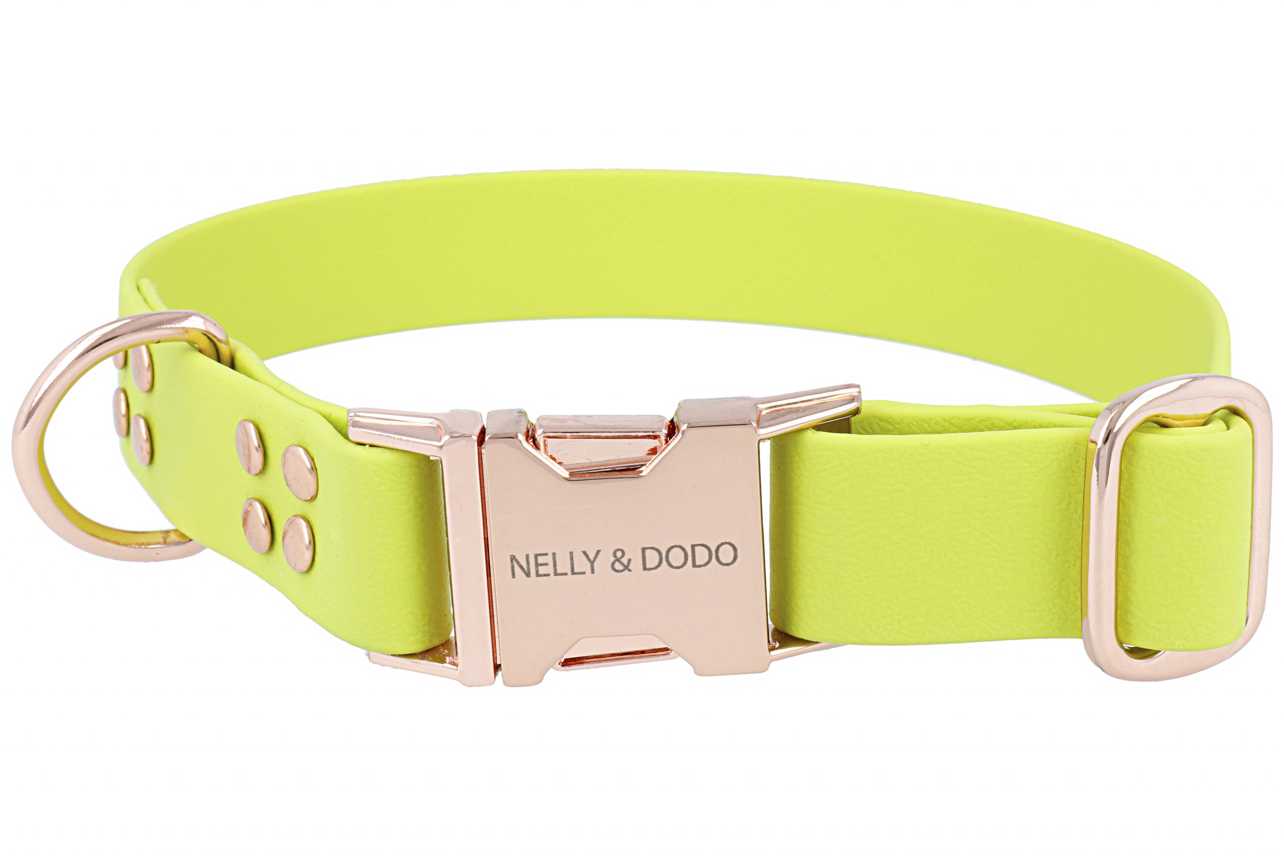 Detail Kiwi Dog Collar Nomer 43