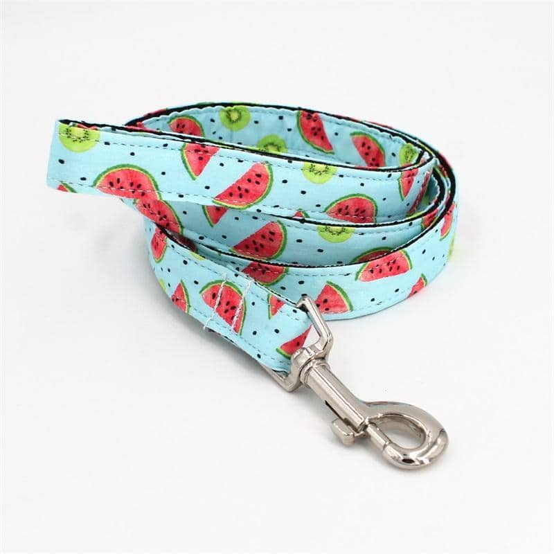 Detail Kiwi Dog Collar Nomer 58