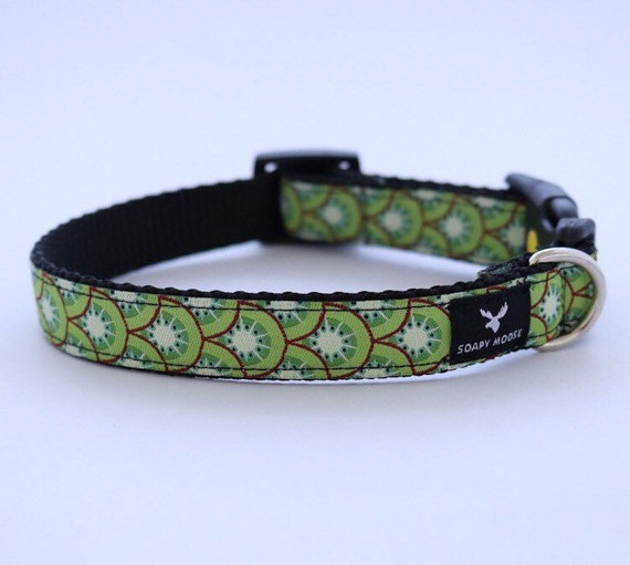 Detail Kiwi Dog Collar Nomer 6