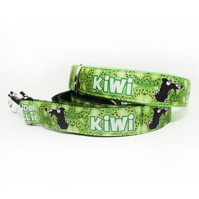 Detail Kiwi Dog Collar Nomer 7