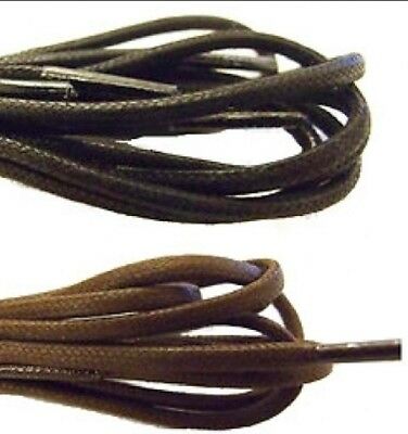 Detail Kiwi Dress Shoelaces Nomer 18