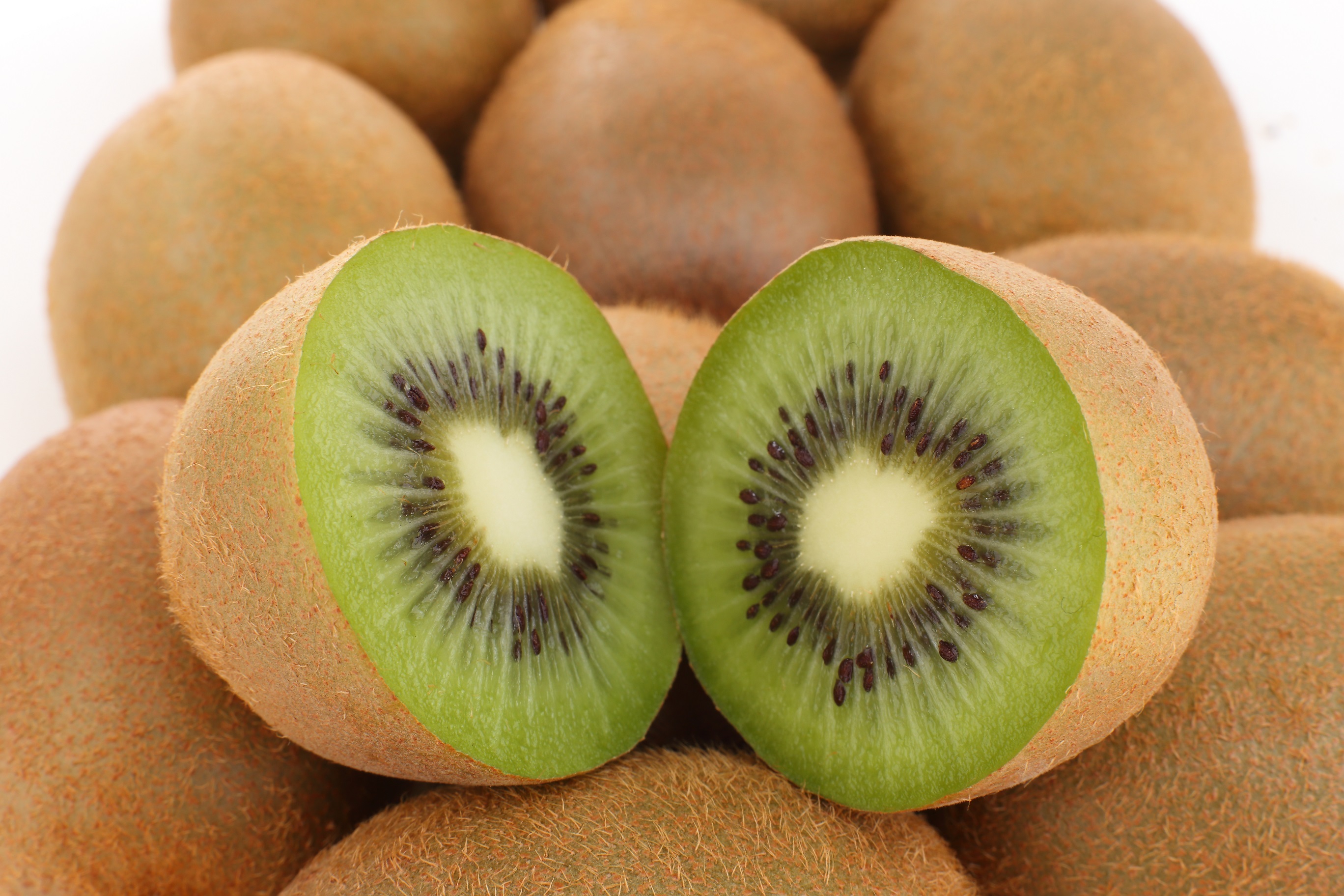 Detail Kiwi Fruit Images Nomer 11