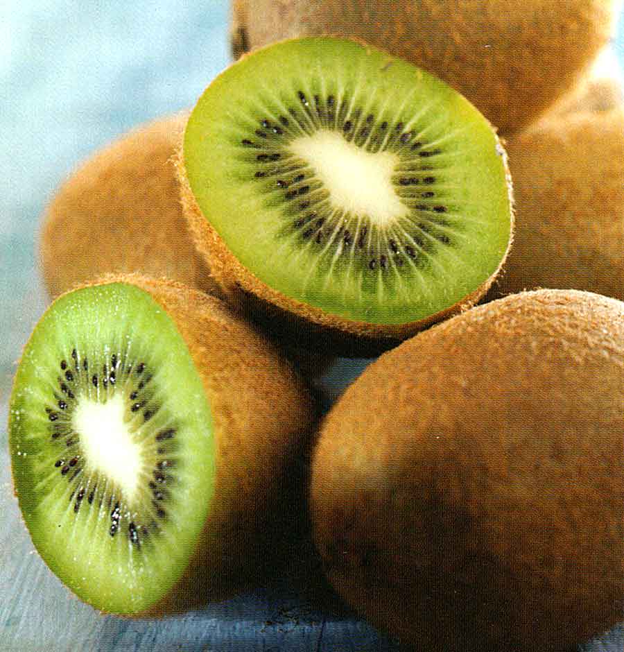 Detail Kiwi Fruit Pic Nomer 16