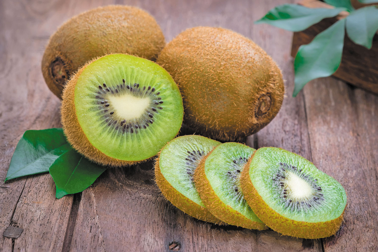 Detail Kiwi Fruit Pic Nomer 25