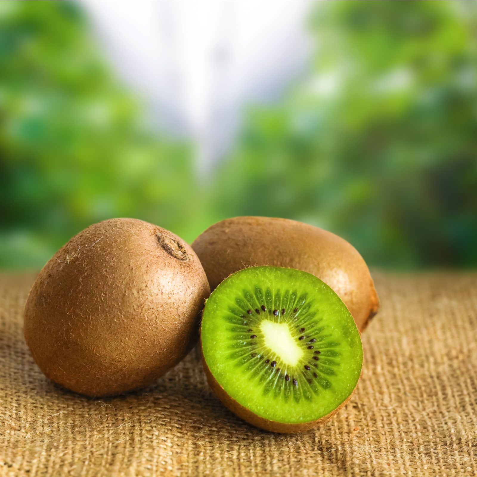 Detail Kiwi Fruit Pic Nomer 6