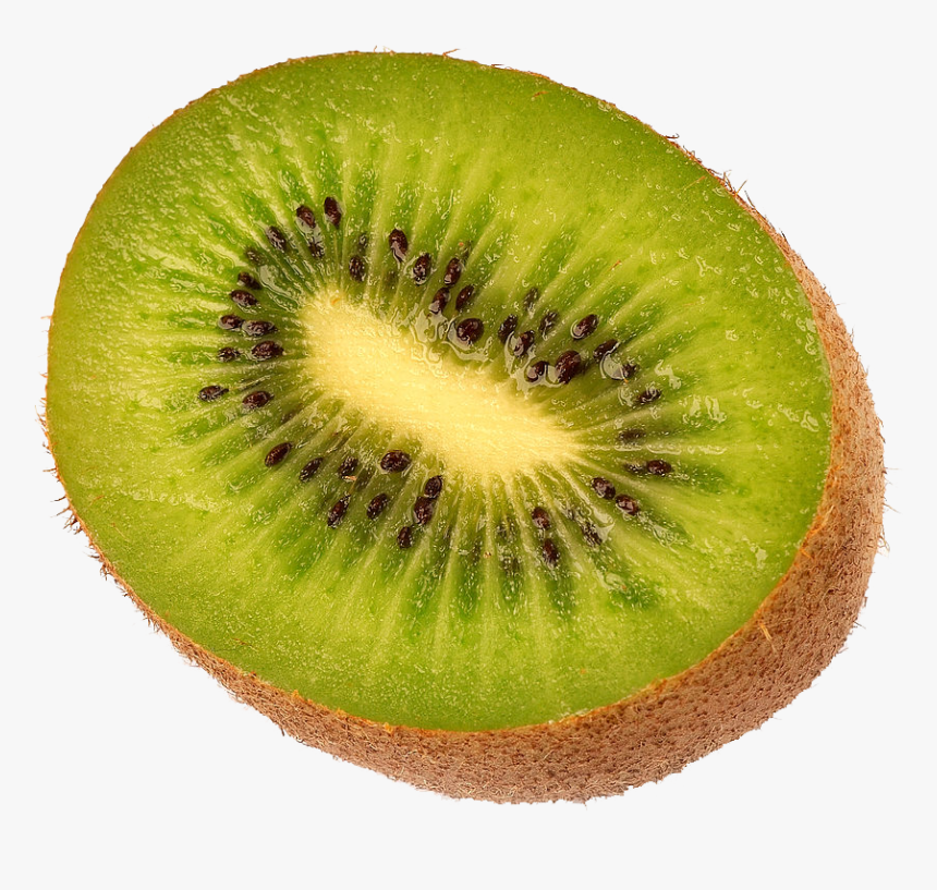 Detail Kiwi Fruit Png Nomer 15