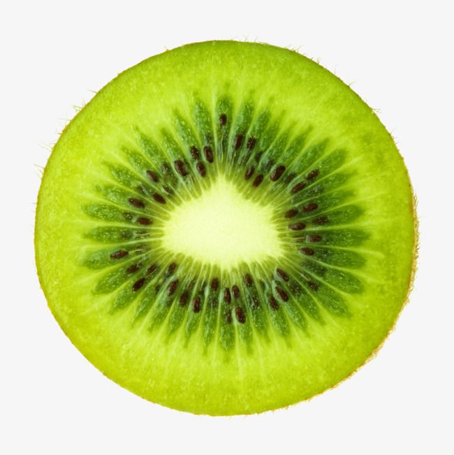 Detail Kiwi Fruit Png Nomer 23
