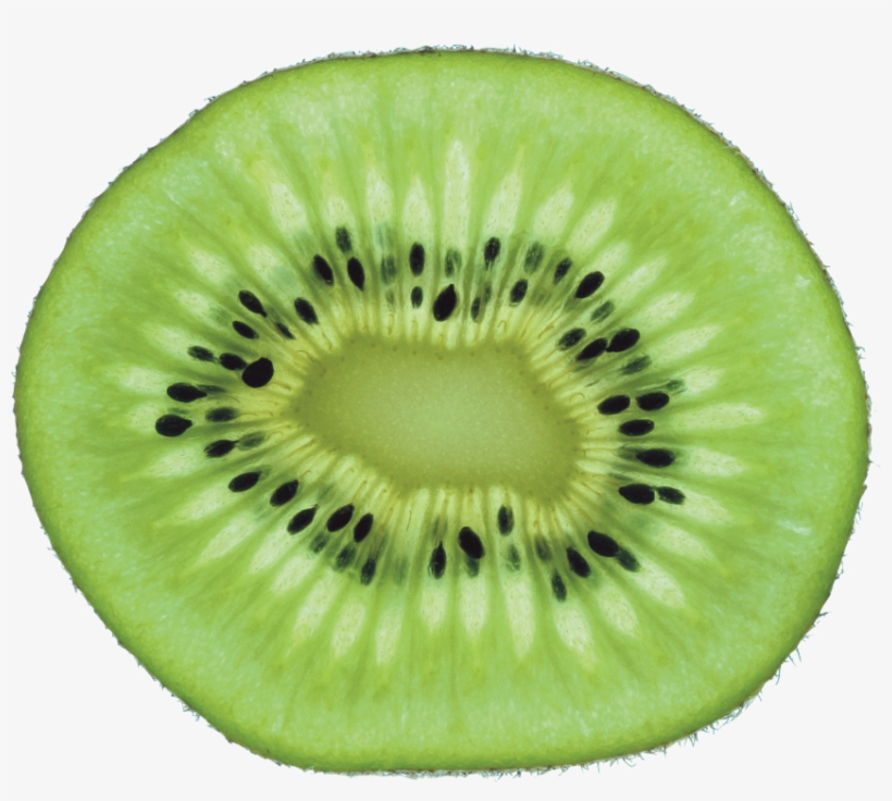 Detail Kiwi Fruit Png Nomer 30