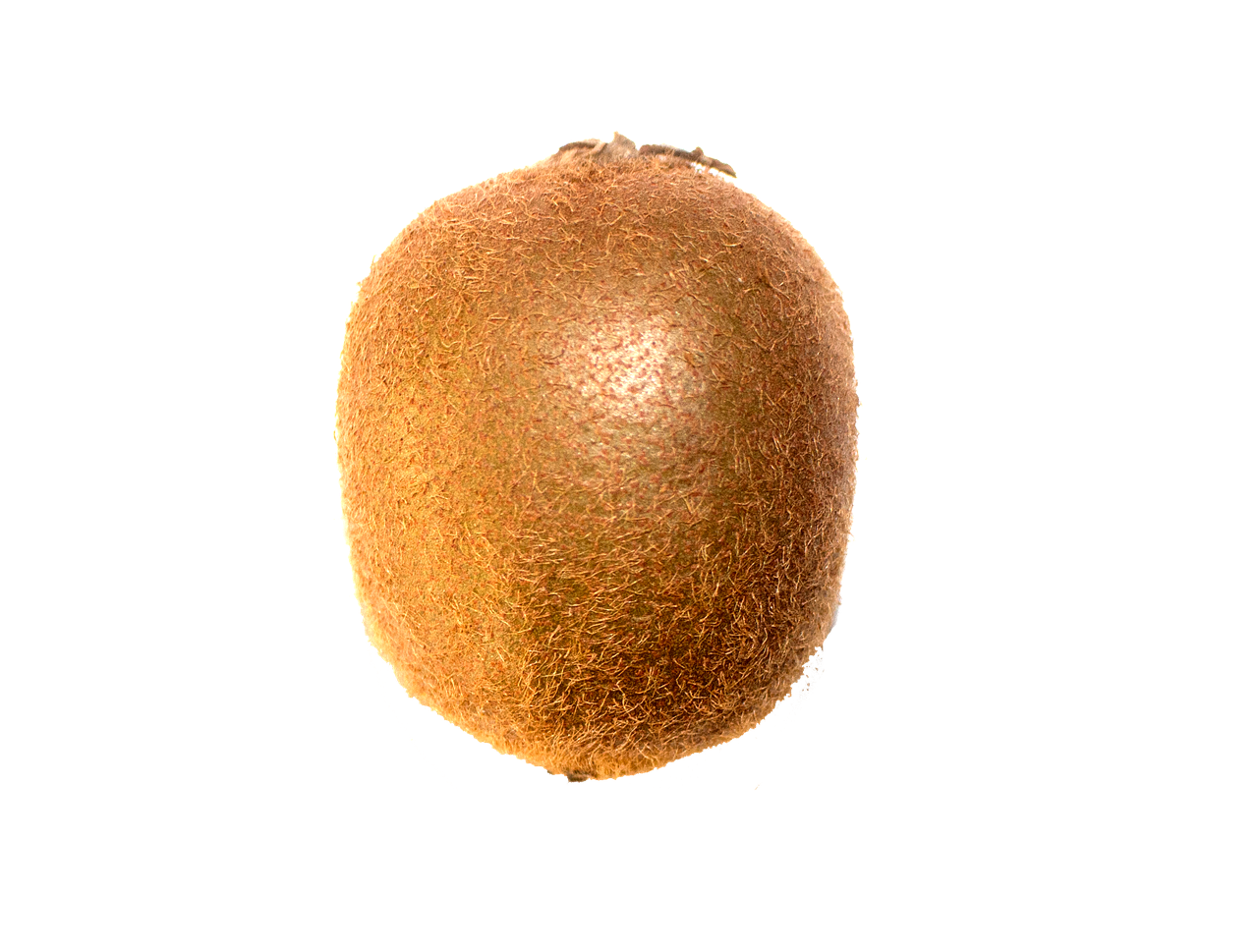 Detail Kiwi Fruit Png Nomer 31