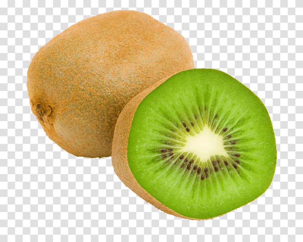 Detail Kiwi Fruit Png Nomer 35