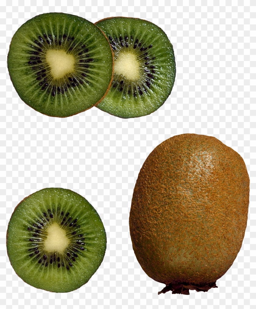 Detail Kiwi Fruit Png Nomer 37