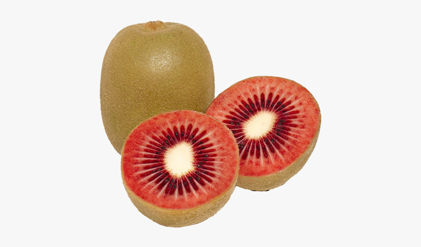 Detail Kiwi Fruit Png Nomer 39