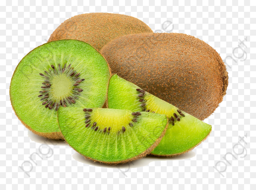 Detail Kiwi Fruit Png Nomer 6