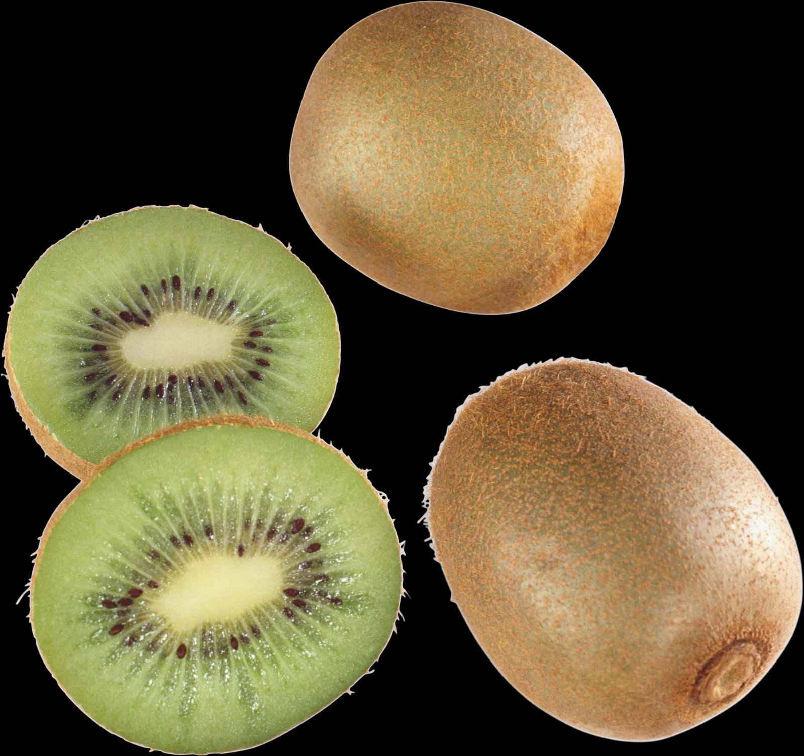 Detail Kiwi Fruit Png Nomer 47