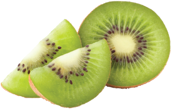 Detail Kiwi Fruit Png Nomer 48