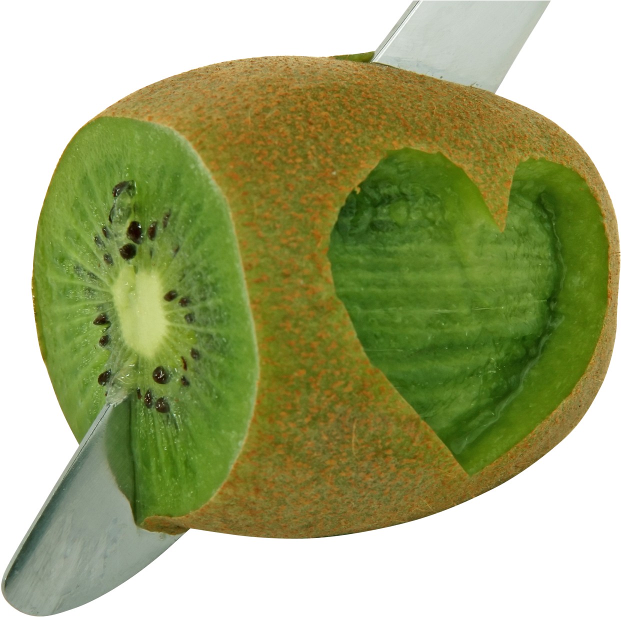 Detail Kiwi Fruit Png Nomer 53