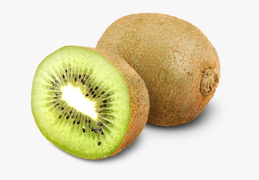 Detail Kiwi Fruit Png Nomer 9