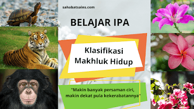 Detail Klasifikasi Hewan Dan Gambarnya Nomer 15