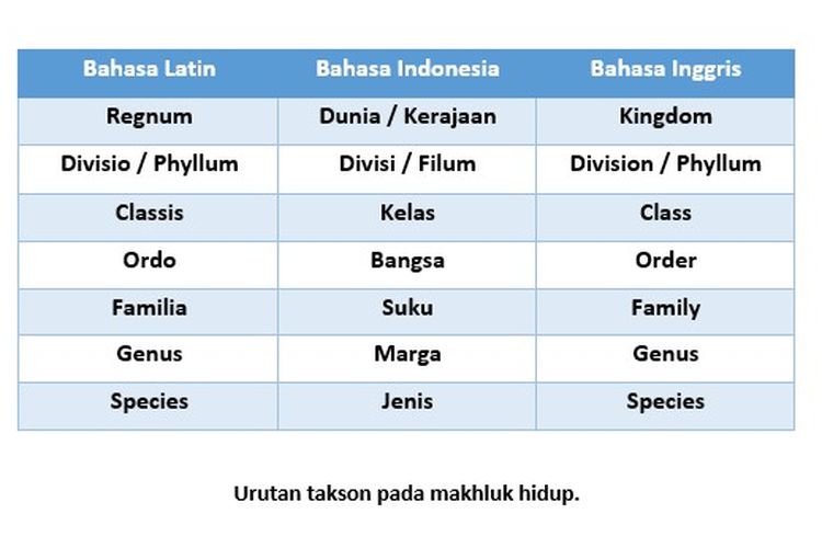 Detail Klasifikasi Hewan Dan Gambarnya Nomer 43