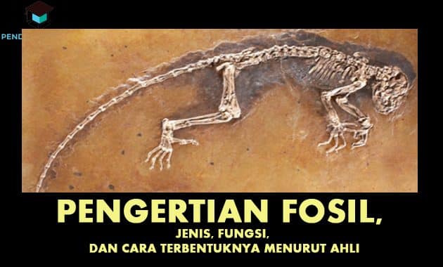 Detail Kliping Gambar Temuan Fosil Jaman Prasejarah Nomer 15