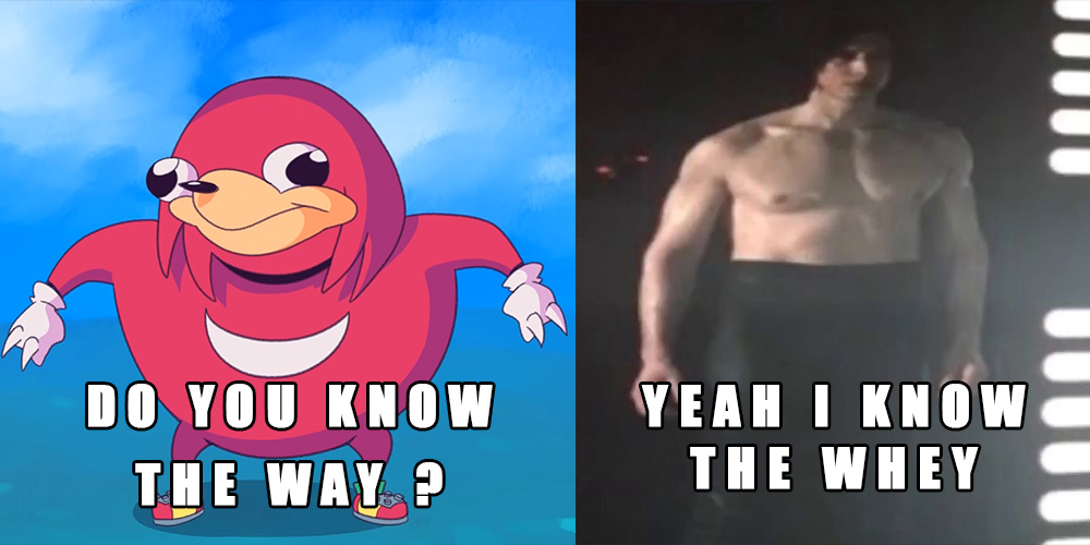Detail Knuckles Meme Do You Know The Way Nomer 5