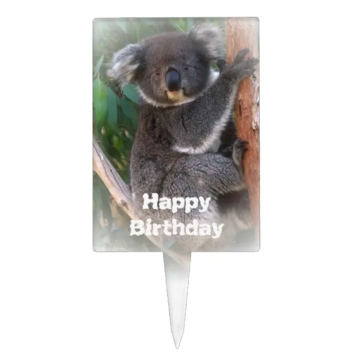 Detail Koala Bear Birthday Cake Nomer 39