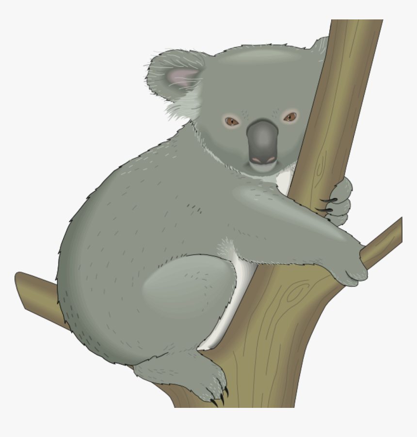 Detail Koala Bear Clip Art Nomer 16