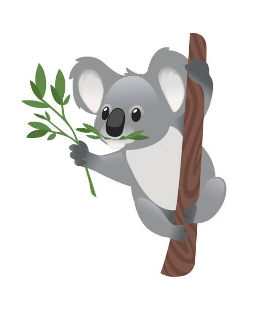 Detail Koala Bear Clip Art Nomer 42