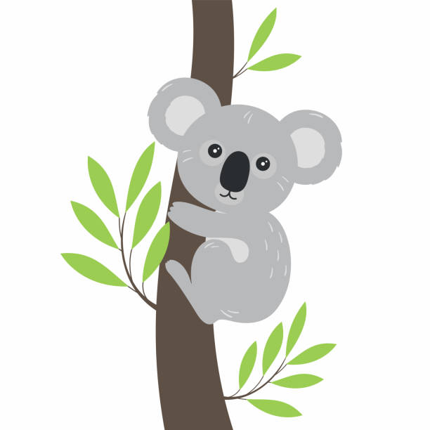 Detail Koala Bear Clip Art Nomer 49