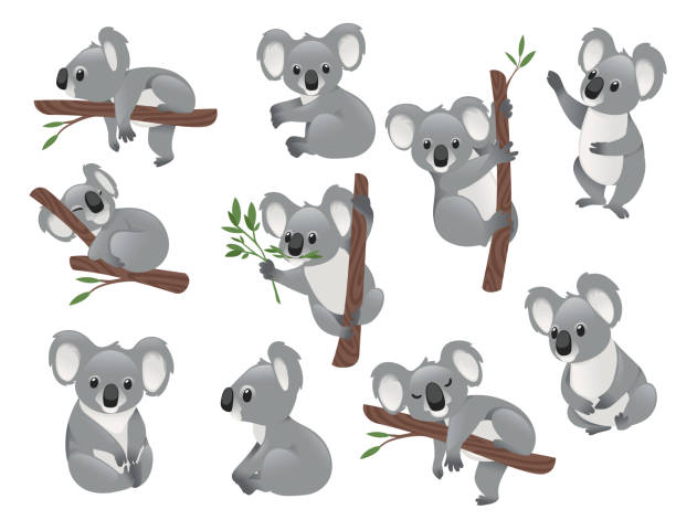 Detail Koala Bear Clip Art Nomer 53