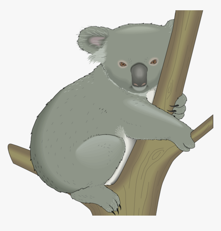 Detail Koala Bear Clipart Nomer 23