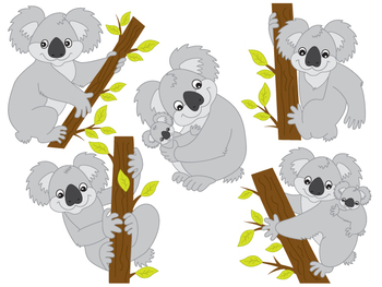Detail Koala Bear Clipart Nomer 35