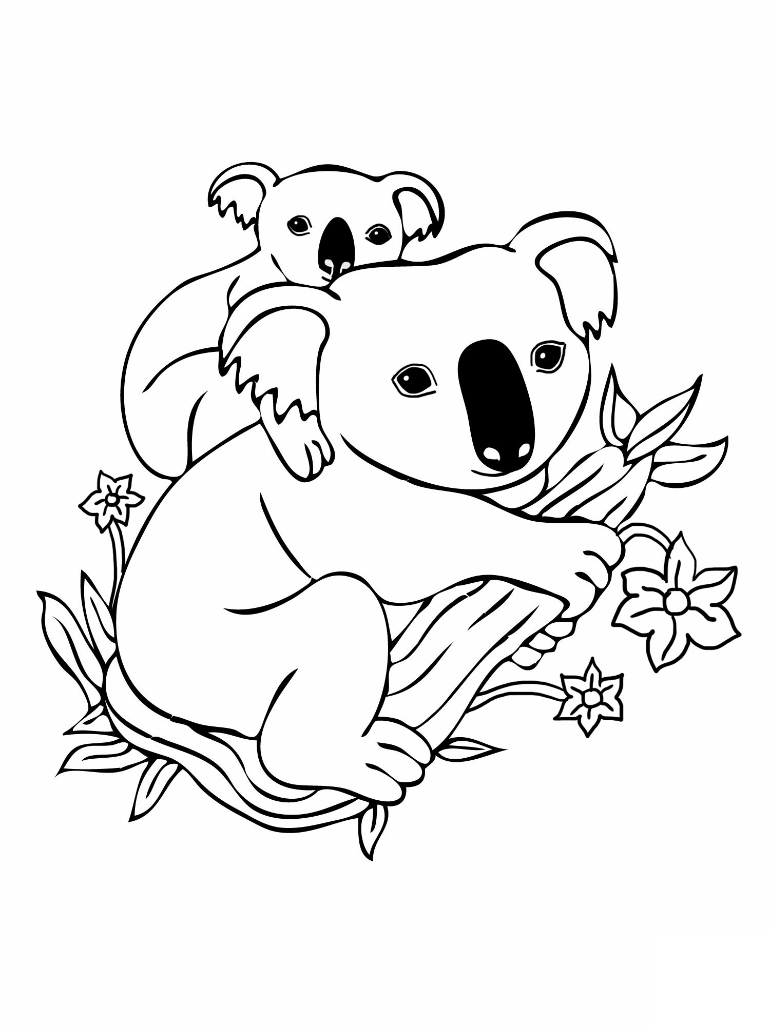 Detail Koala Bear Clipart Black And White Nomer 34