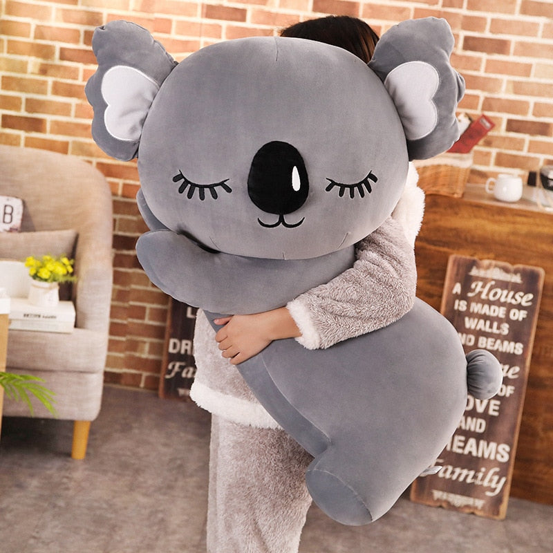 Detail Koala Bear Pillow Pets Nomer 54