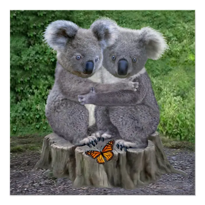 Detail Koala Bears Pictures Nomer 38