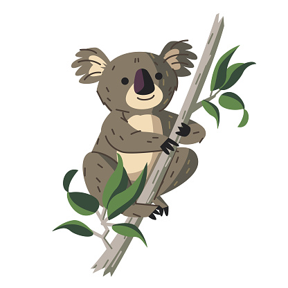 Detail Koala Clip Art Free Nomer 24