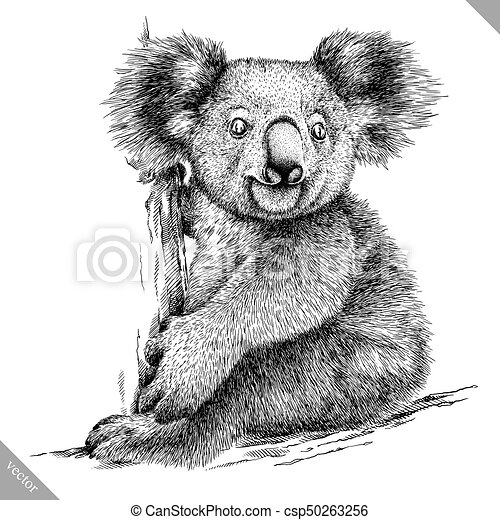 Detail Koala Clipart Black And White Nomer 27