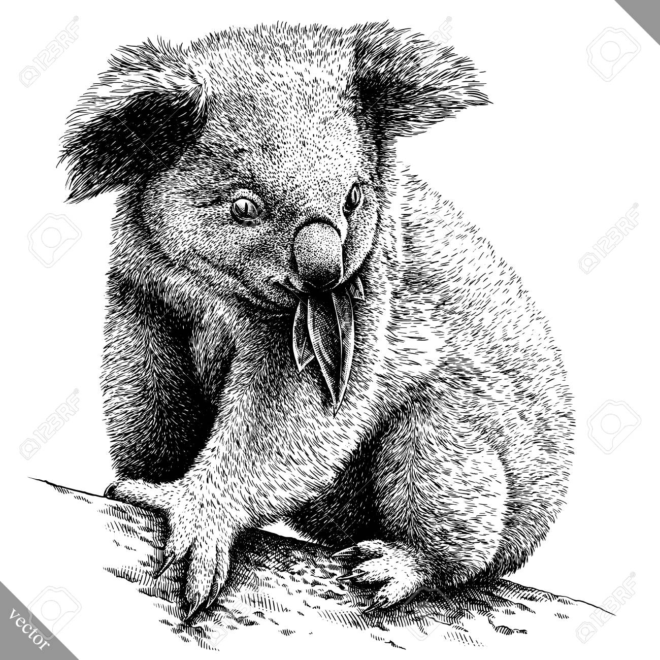 Detail Koala Clipart Black And White Nomer 43