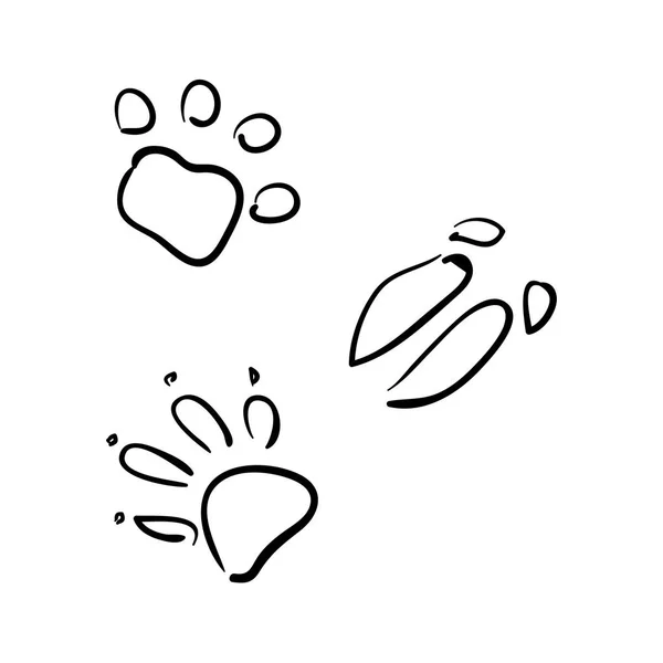 Detail Koala Footprints Nomer 3