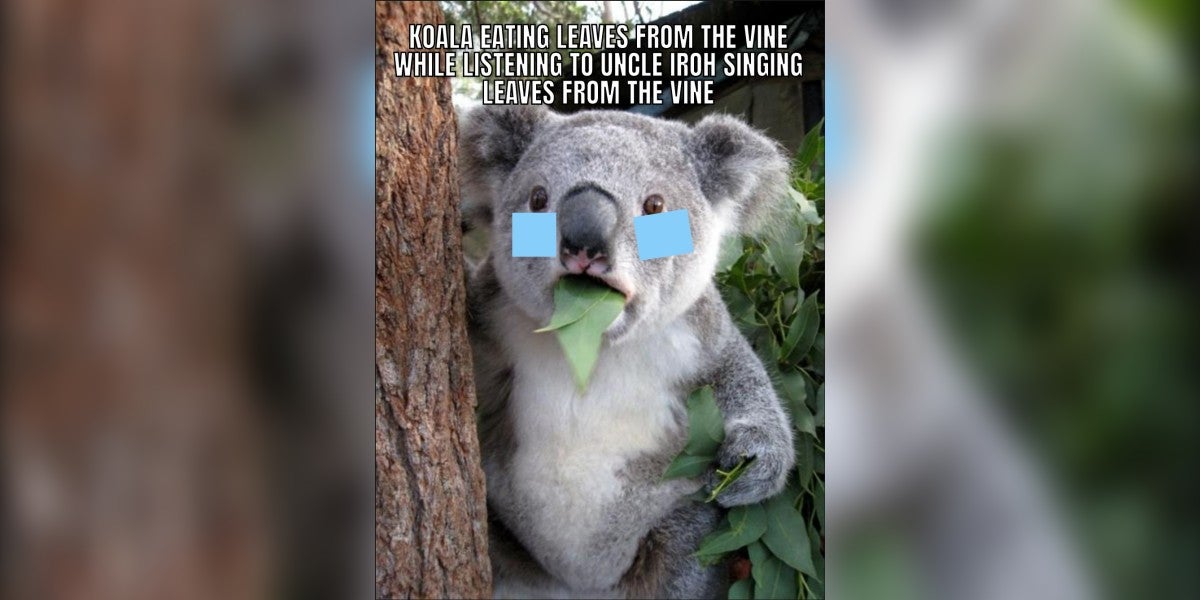 Detail Koala Leaf Meme Nomer 19