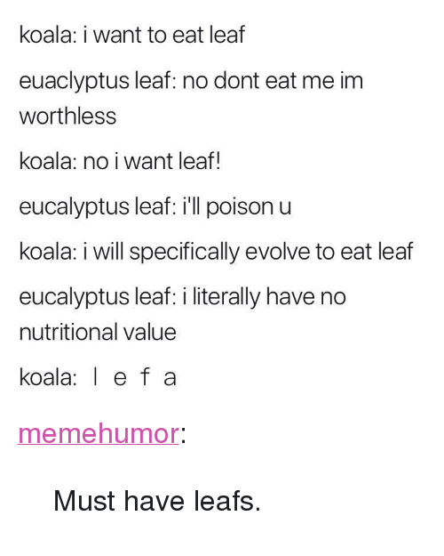 Detail Koala Leaf Meme Nomer 46