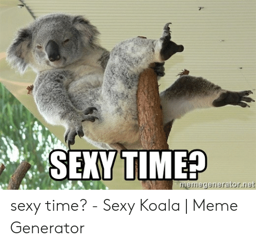 Detail Koala Meme Generator Nomer 28